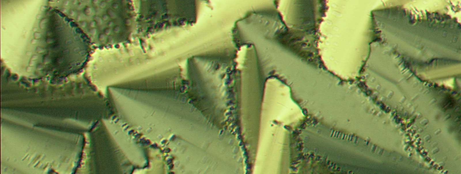 Cross polarized light microscopy image of in-situ synthesized Silver nanoparticles on the grain boundaries of hexagonal liquid crystal